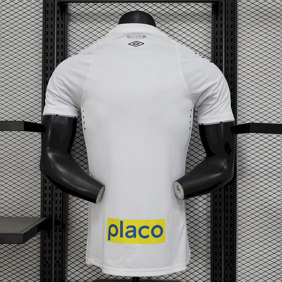 Santos 2024/2025