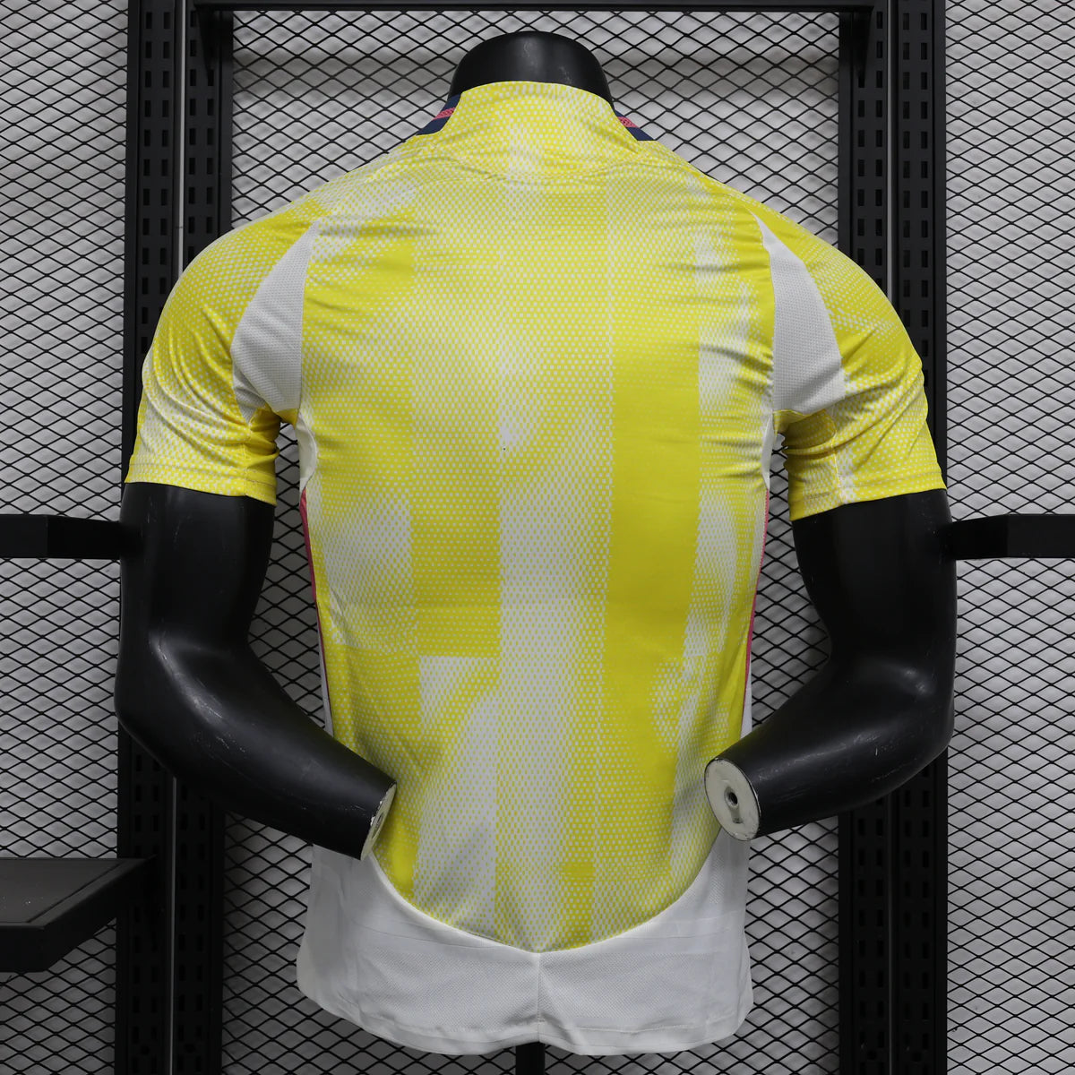 Juventus 2024/2025 Ext (Pro)