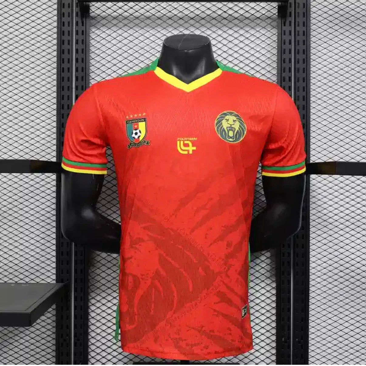 Maillot Cameroun Ext 2025