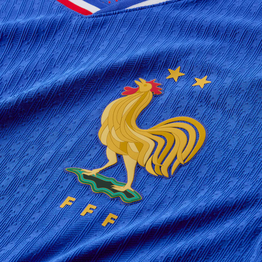 France domicile 2024 2025 EURO2024 (AF)