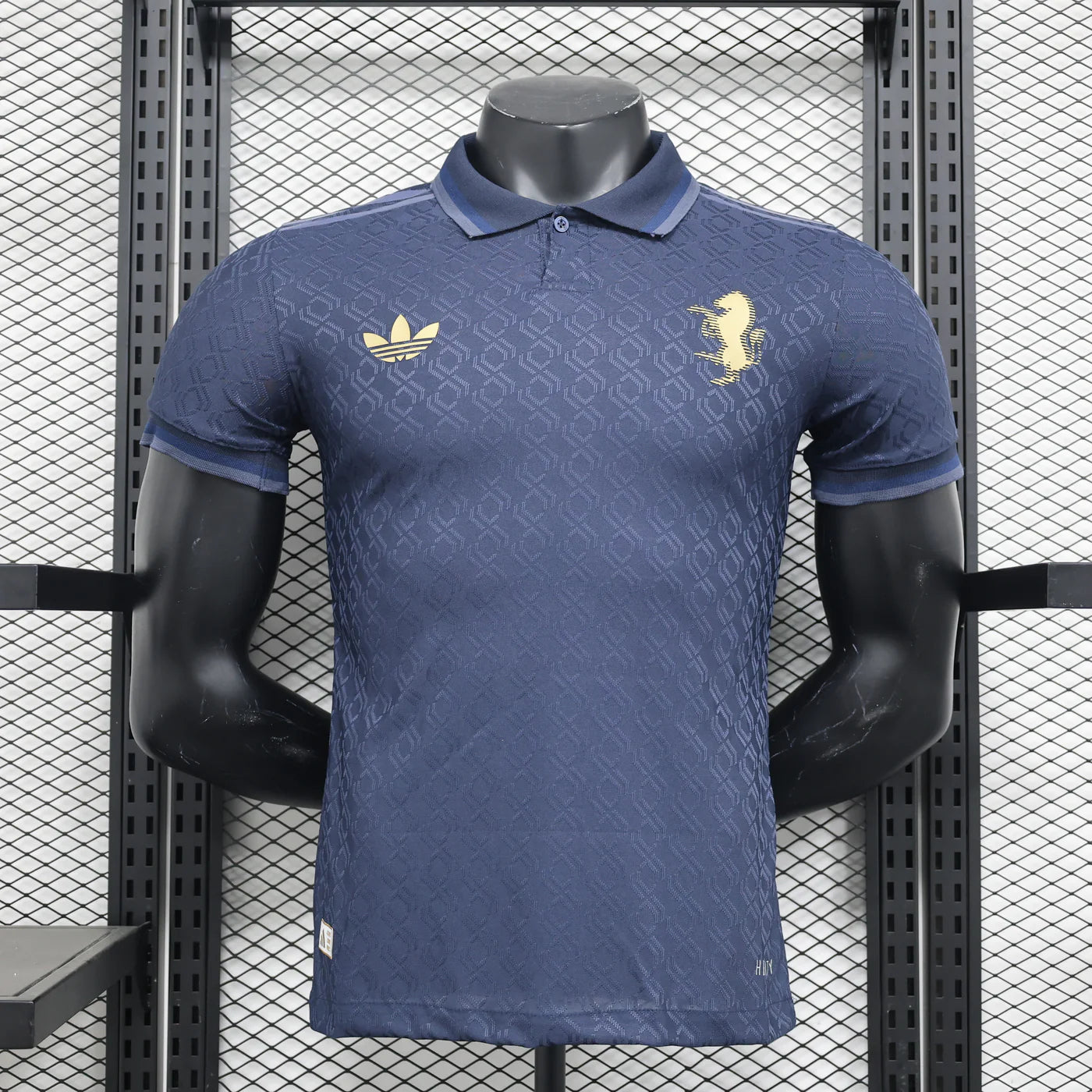 Maillot Juventus 2024/2025 Bleu ( AF )
