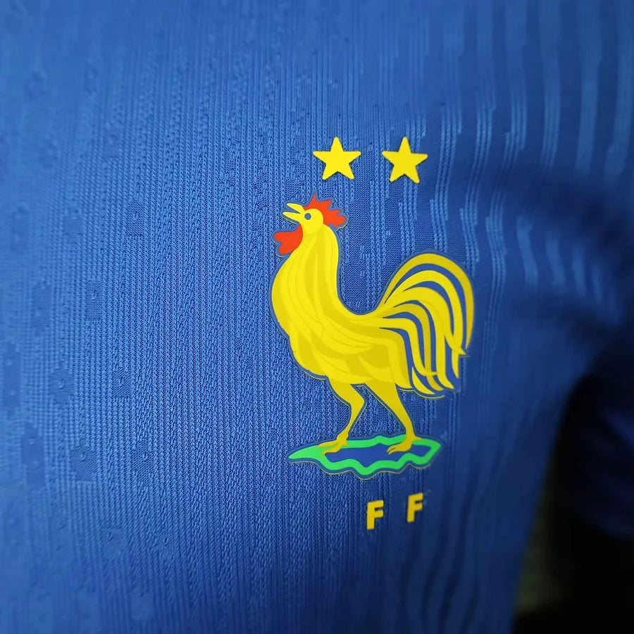 France domicile 2024 2025 EURO2024 (AF)